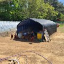 미정식당 이미지