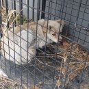 하리파출소 이미지