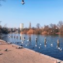 홀리데이 | ✈️영국 워킹홀리데이 현실 후기｜솔직한 이야기