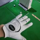 (주) 지맥스 | [골프장갑 비교] 쿠팡 양피 및 합성 골프장갑 비교 사용후기. 베스트 추천.