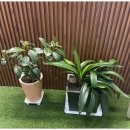 오스테이 이미지