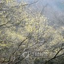 호계천변 이미지