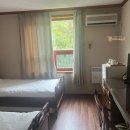 함평엘리체CC 이미지