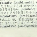 Amalgamation(아말가메이숀)과 Rule dance(룰 댄스) <펌> 이미지