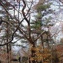 백무동주차장 이미지