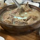복드리오리 이미지