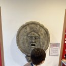 솔로몬2 | 유잼도시 아이랑 대전 무료 코스 2탄 법 체험 솔로몬로파크 월요일 방문 후기