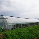 김영덕농장 이미지
