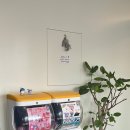 [서울/노원] Archive Studio_coffee 아카이브 스튜디오 후기(아메리카노, 말렌카케이크, 테린느)
