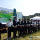 이상호태양광발전소 이미지