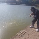 돌성저수지 이미지