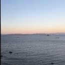 라모타B 이미지