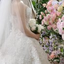 칼라하우스 이미지