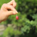 사슴목장 이미지