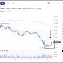 펄인베스트먼트
