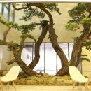 본느마망 산후조리원 이미지