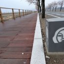 벚꽃마루 이미지