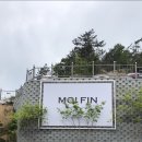 카페모이 이미지