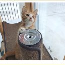 아이조아요양보호소 대구점 이미지