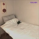 다미스테이