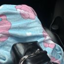 HIPPO | 스탠드오일 STAND OIL HIPPO BAG 히포백 블랙 후기