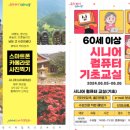 스마트폰 활용교육 기초 이미지