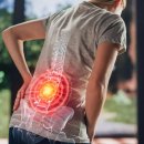 Style D Gym 이미지