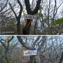 고흥, 장계지맥 산행기 이미지