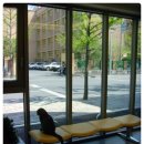 리옹동물병원 이미지