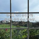 펜션161 | [제주] 제주도 아기랑 숙소 추천 - 풀빌라 독채 펜션 성산/표선 숙소 해녹담 4박 후기
