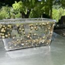 풍차와 시냇물 이미지