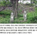 성경 속에 크리스마스 트리와 유래 이미지