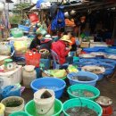 군산노인종합복지관 이미지