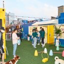 동물친구들 애견미용실 이미지