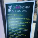 개꿀잼 애견카페 네이버블로그