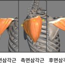 주안PT 이미지