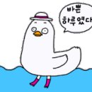 아카보시 이미지