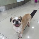 종합동물병원 이미지