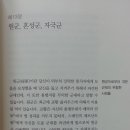 비르투&포르투나 이미지
