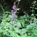 가리산농장 이미지