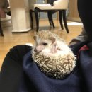 안녕하세요 20학번 이가빈입니다! 이미지