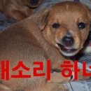 가와이 이미지