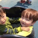 만수어린이공원 이미지