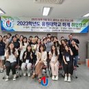 대학의료기 이미지