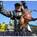 물쌍거리 Daum카페