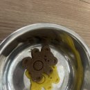 테이스팅독 이미지