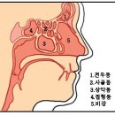 김인상한의원 이미지