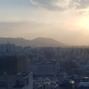 제주비케이 주식회사 이미지