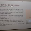 일본군관사 Daum카페