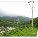 부산선구